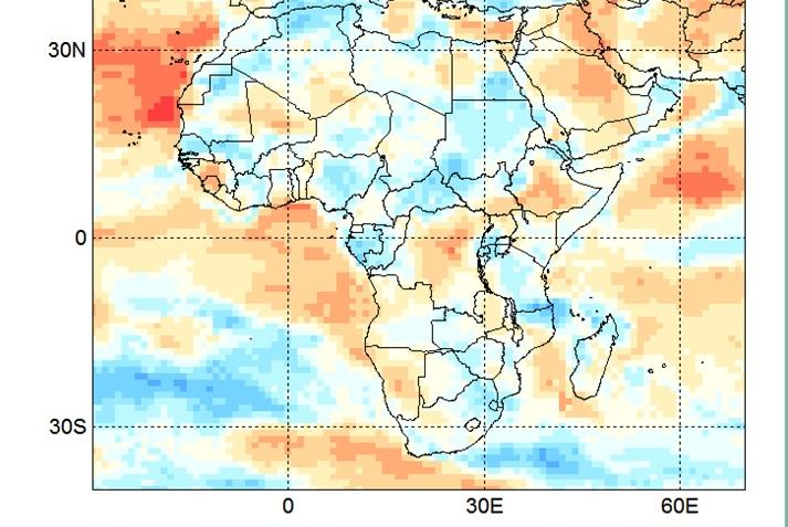 Observed NCEP