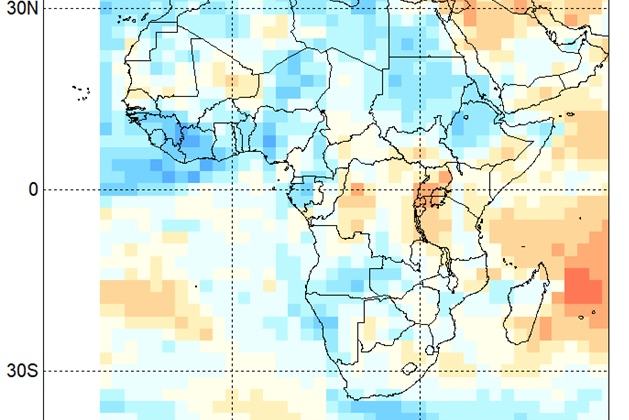 Observed NCEP