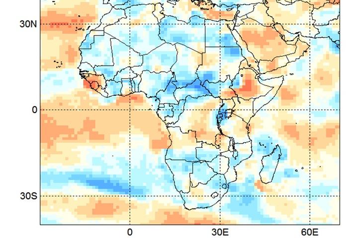 Observed NCEP
