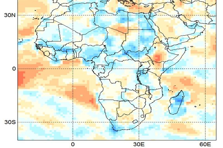 Observed NCEP